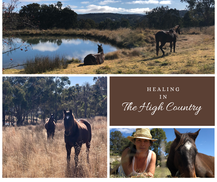 Healing in the High Country