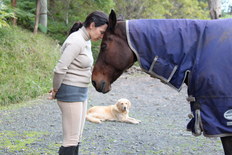 Intuitive Communication: Is it really possible to have a conversation with an animal?